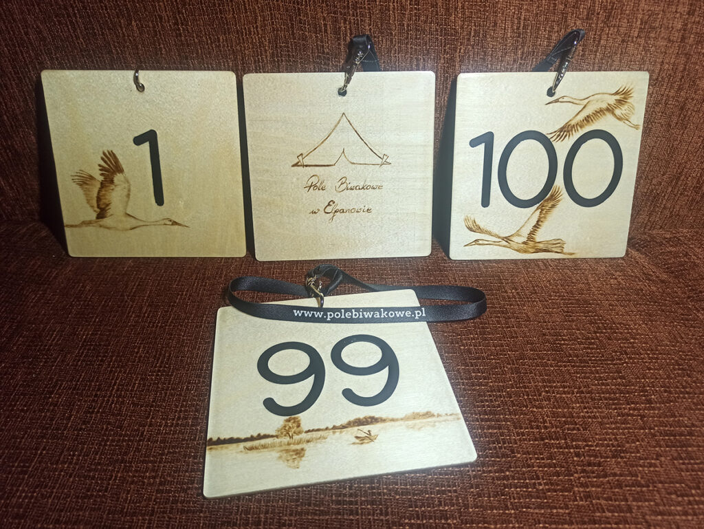 Numerki na namioty - Pole biwakowe w Elganowie