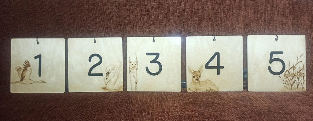 Numerki na namioty - Pole biwakowe w Elganowie