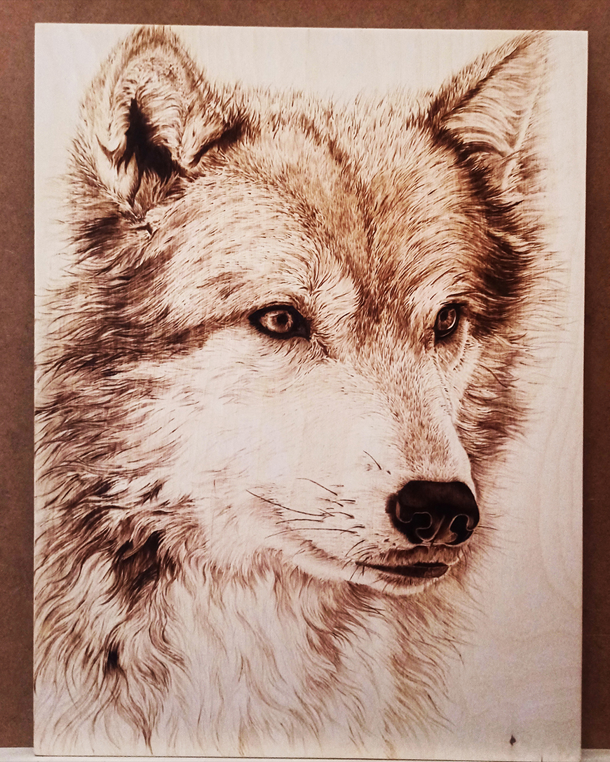 Wilk
