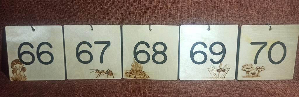 Numerki na namioty - Pole biwakowe w Elganowie