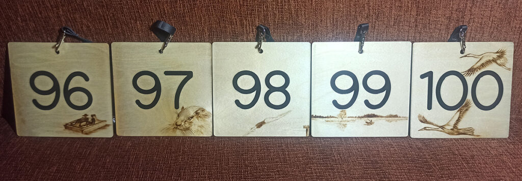 Numerki na namioty - Pole biwakowe w Elganowie