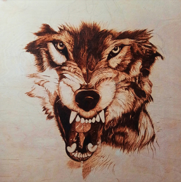 Wilki